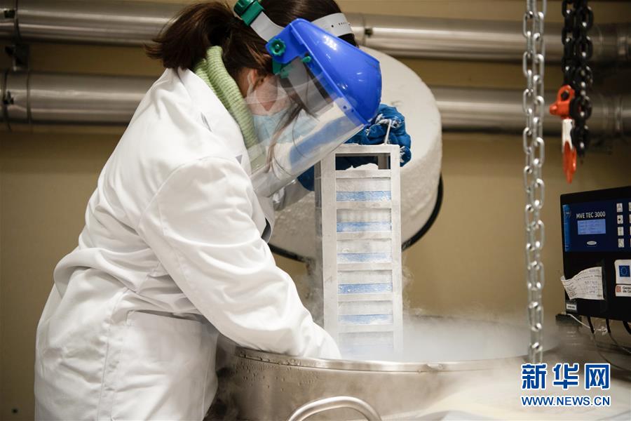 （国际疫情&middot;新华视界）（3）西班牙：实验室人员对病毒样本进行研究