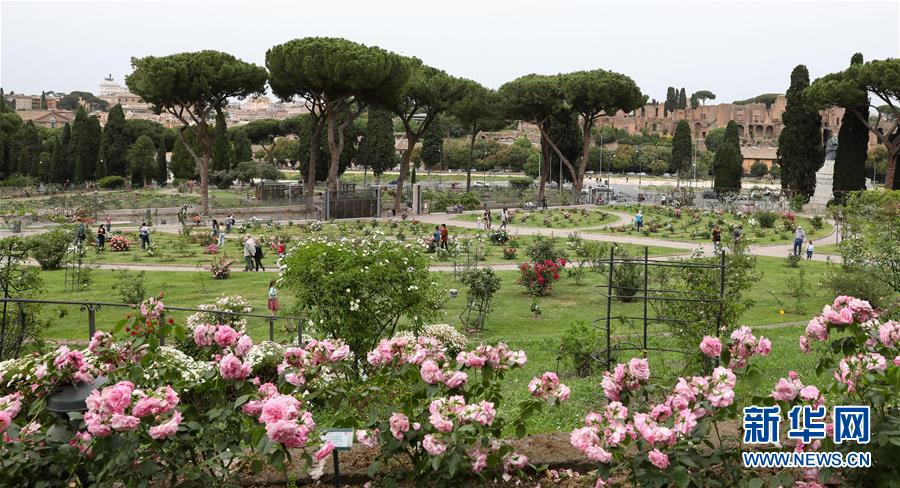 （国际疫情）（5）意大利将于6月初开放与申根区国家间人员流动