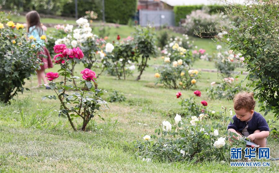 （国际疫情）（6）意大利将于6月初开放与申根区国家间人员流动