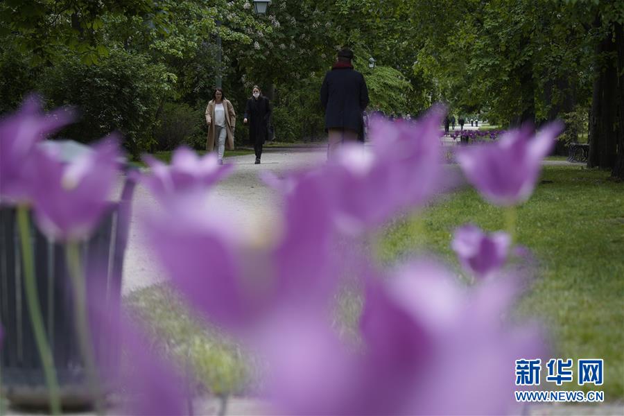（国际疫情）（3）波兰开始实施四阶段&ldquo;解封&rdquo;计划的第三阶段