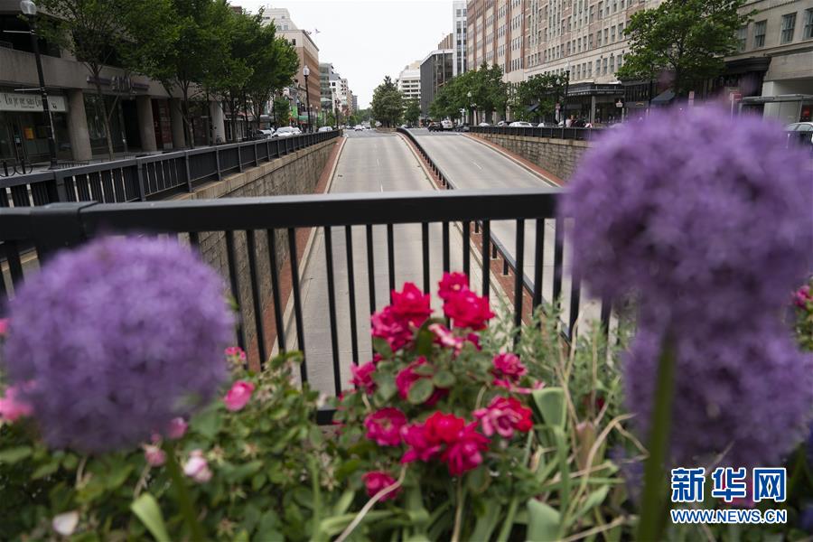 （国际疫情）（3）约翰斯&middot;霍普金斯大学：美国确诊病例升至1525367例