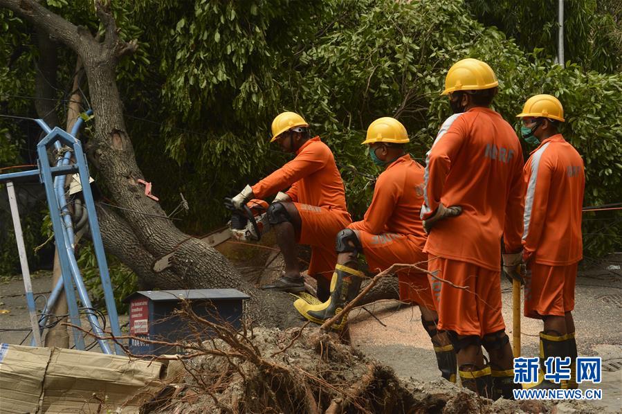 （国际）（1）印度清理风暴灾区