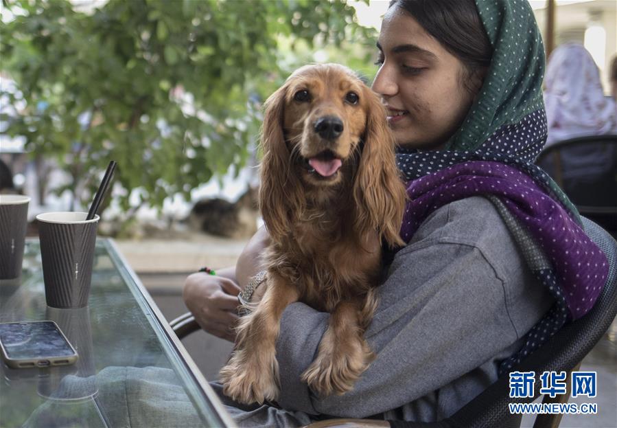（国际疫情）（4）伊朗咖啡馆恢复营业
