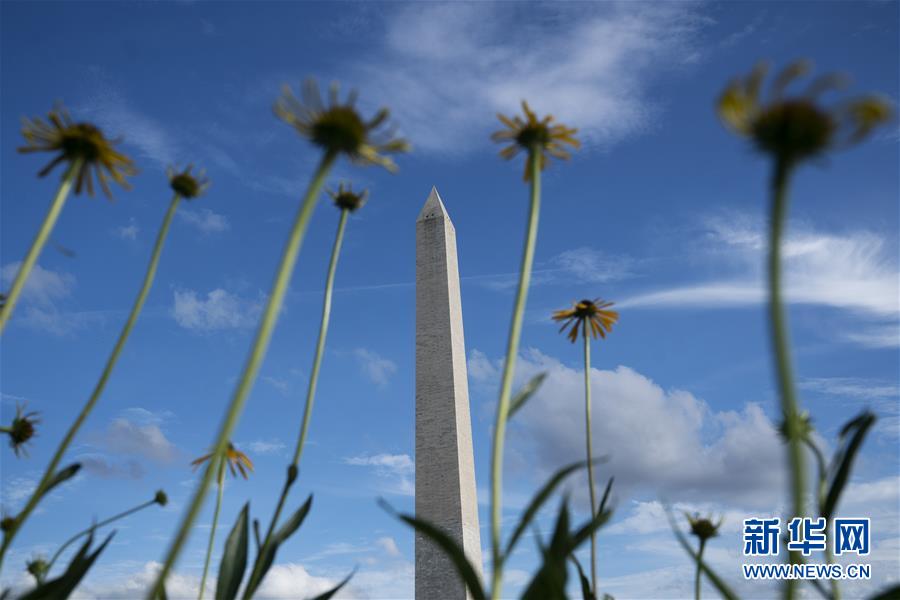 （国际疫情）（2）美国首都华盛顿宣布解封计划