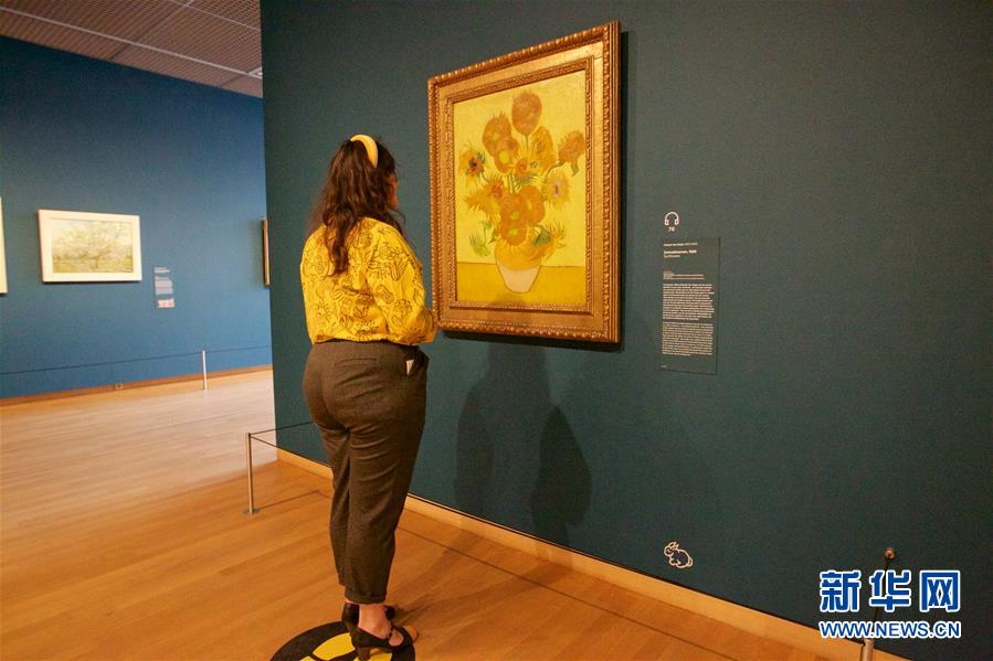 （国际疫情）（8）荷兰梵高博物馆重新开放