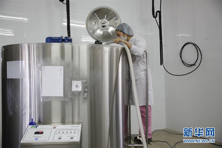 (国际·图文互动)(4)从“先遣队”到“正规军”——哈萨克斯坦骆驼奶粉入华记