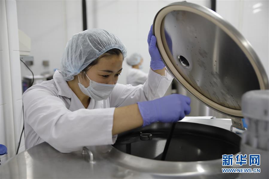 (国际·图文互动)(5)从“先遣队”到“正规军”——哈萨克斯坦骆驼奶粉入华记