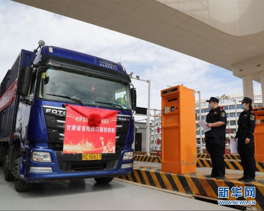 (国际·图文互动)(7)从“先遣队”到“正规军”——哈萨克斯坦骆驼奶粉入华记