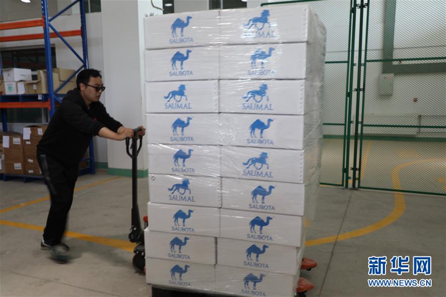 (国际·图文互动)(8)从“先遣队”到“正规军”——哈萨克斯坦骆驼奶粉入华记