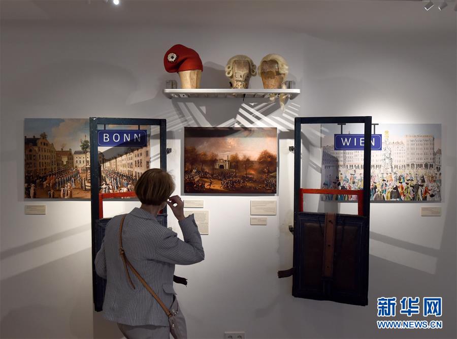 （国际疫情）（1）维也纳贝多芬博物馆重新开放