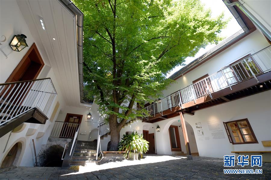 （国际疫情）（2）维也纳贝多芬博物馆重新开放