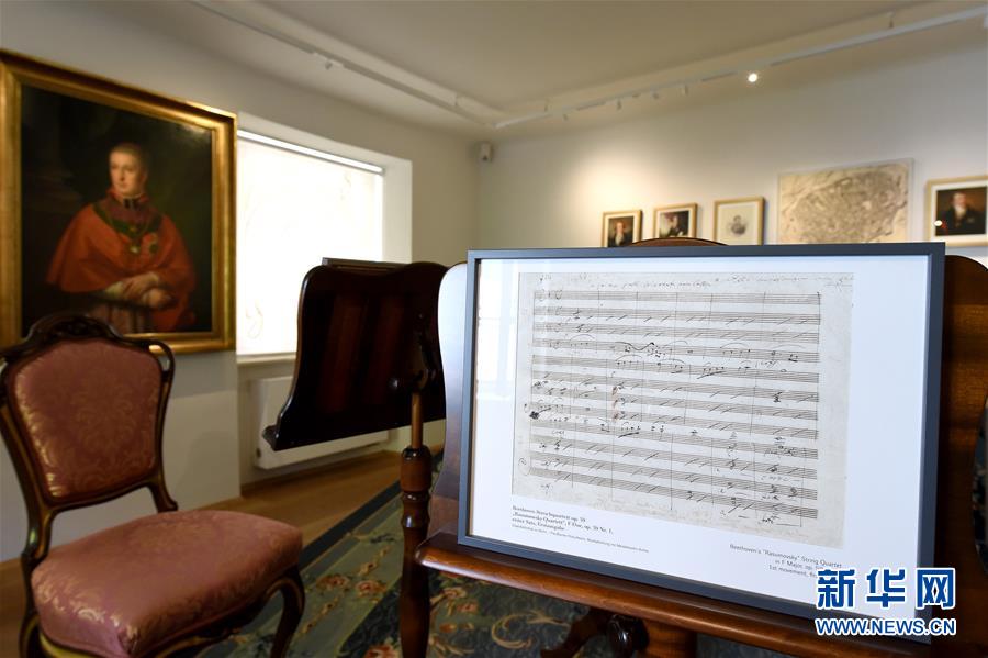 （国际疫情）（4）维也纳贝多芬博物馆重新开放