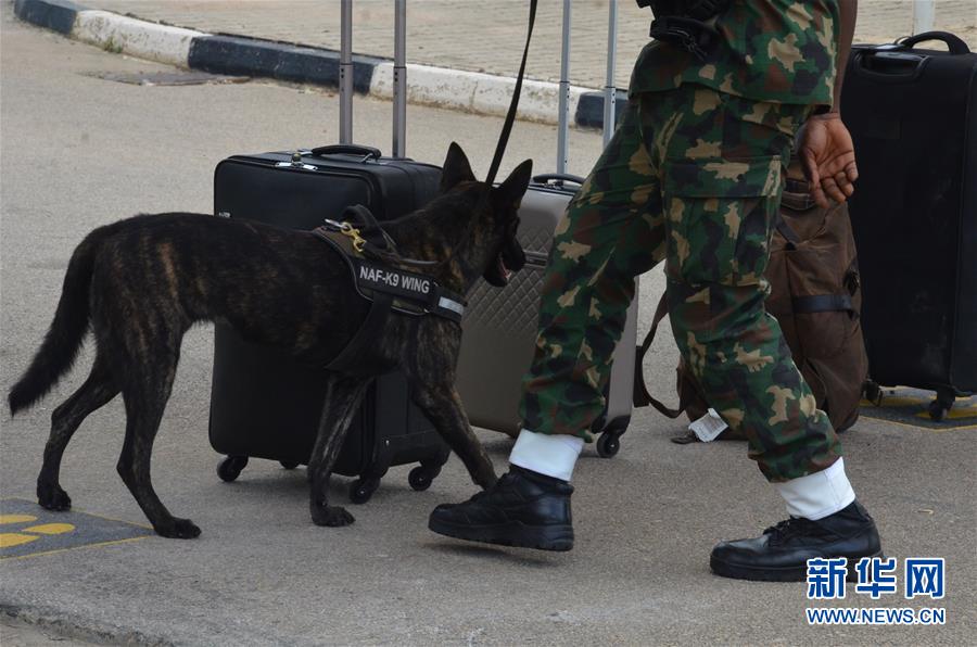 （国际疫情）（4）尼日利亚机场恢复国内航班运营