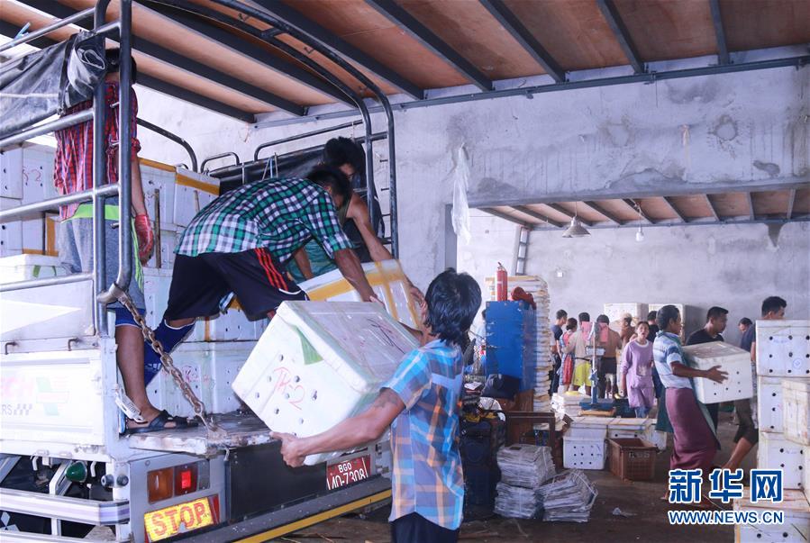 （新华全媒头条&middot;图文互动）（7）中国&mdash;东盟自贸区：&ldquo;黄金十年&rdquo;塑造世界经贸新格局