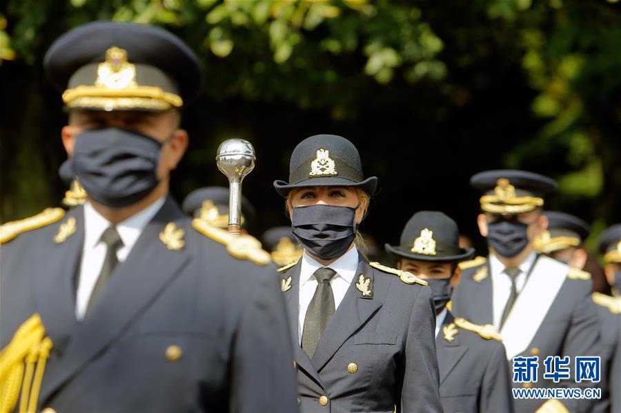 （国际疫情）（4）疫情下的罗马尼亚空军节