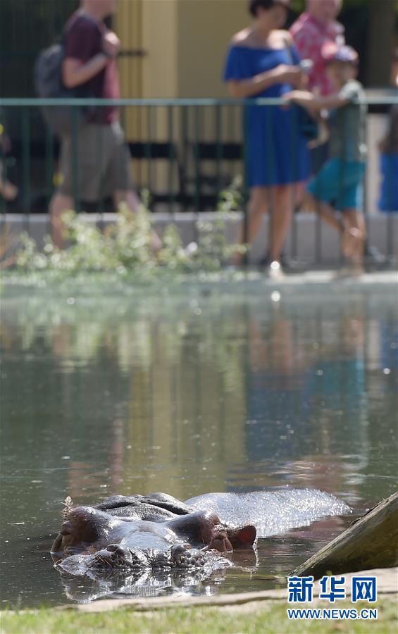（国际）（1）维也纳：夏季里的美泉宫动物园