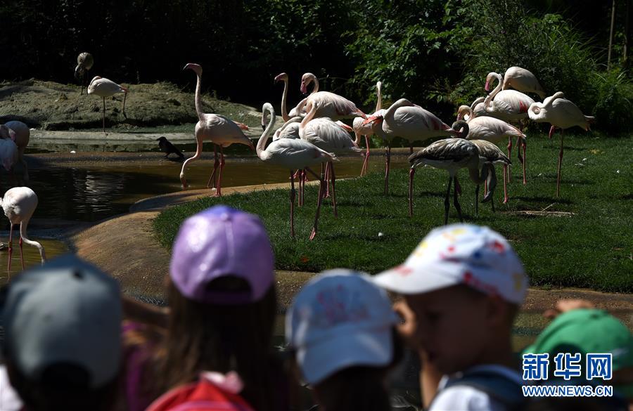 （国际）（2）维也纳：夏季里的美泉宫动物园