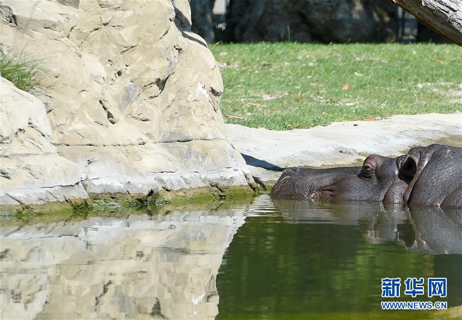 （国际）（5）维也纳：夏季里的美泉宫动物园