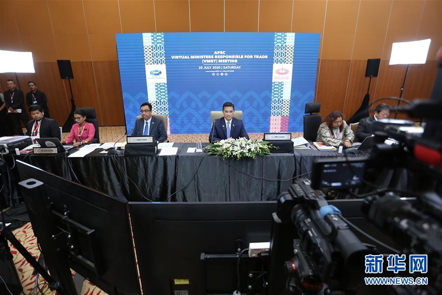 （国际）（1）APEC成员贸易部长会议表示将加速推动区域经济复苏