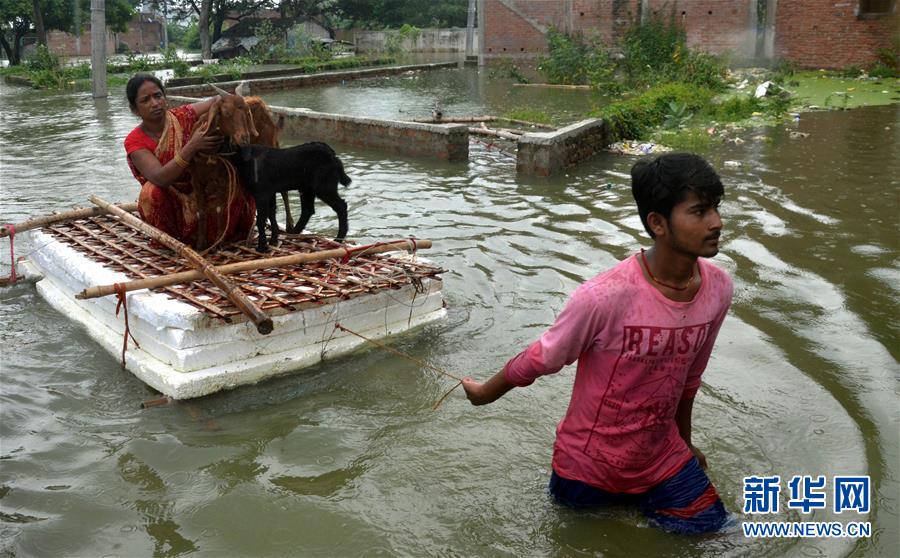 （国际）（6）印度比哈尔邦洪灾造成至少10人死亡