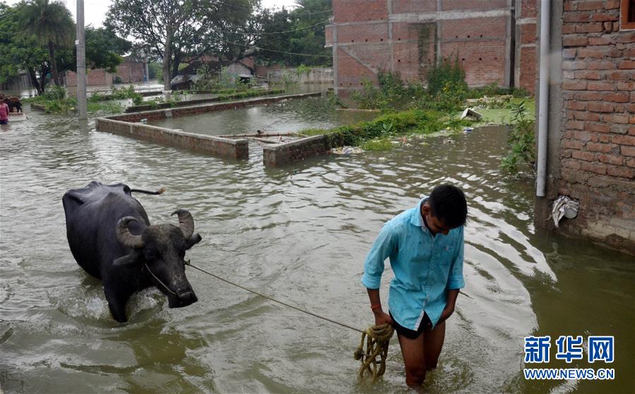 （国际）（9）印度比哈尔邦洪灾造成至少10人死亡
