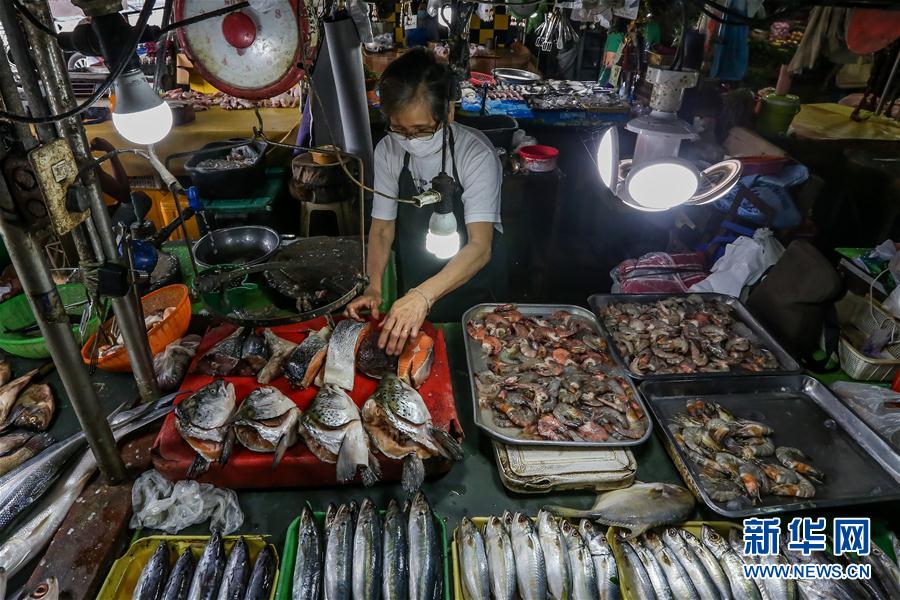 （国际疫情）（1）菲律宾新冠确诊病例达106330例