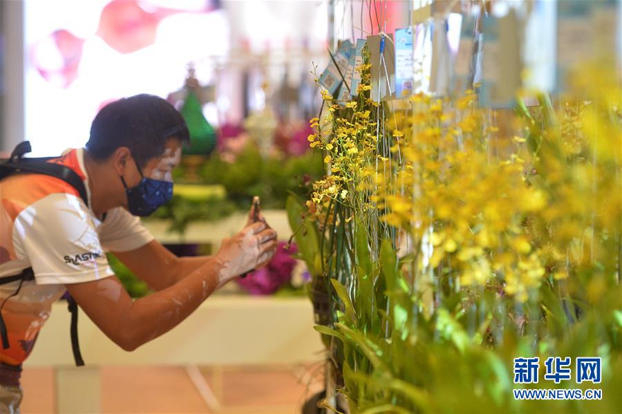 （国际）（2）曼谷举行兰花展