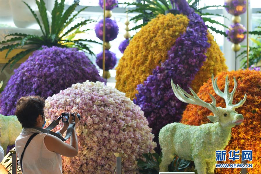 （国际）（5）曼谷举行兰花展