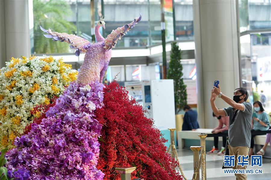 （国际）（6）曼谷举行兰花展
