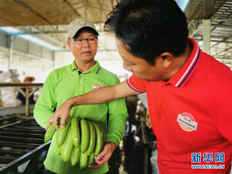 （国际&middot;图文互动）（2）财经观察：中柬农业合作再升级