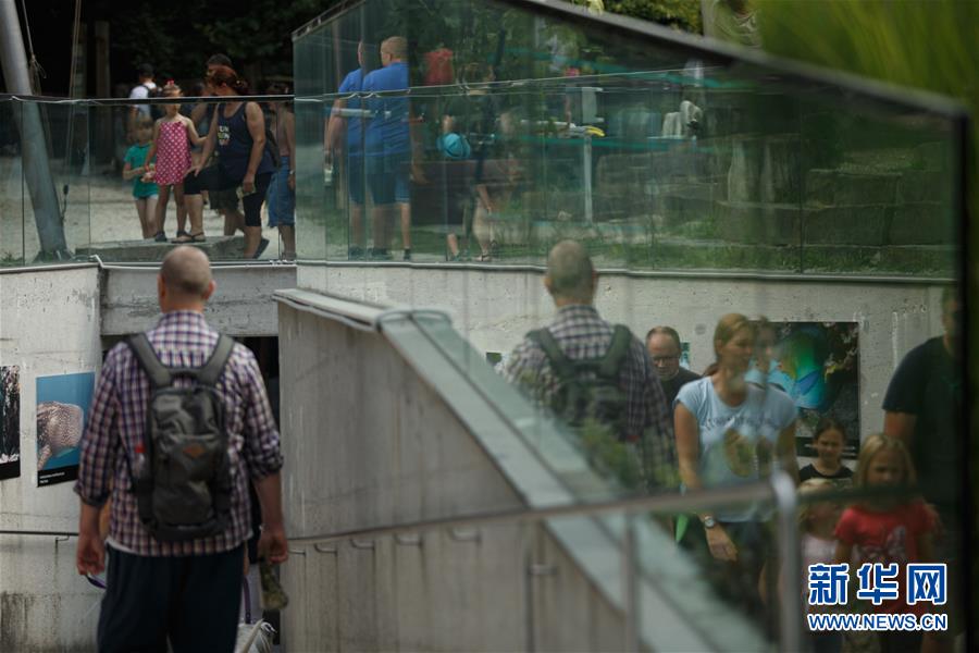（国际）（5）斯洛文尼亚：动物园逐渐恢复往日生气