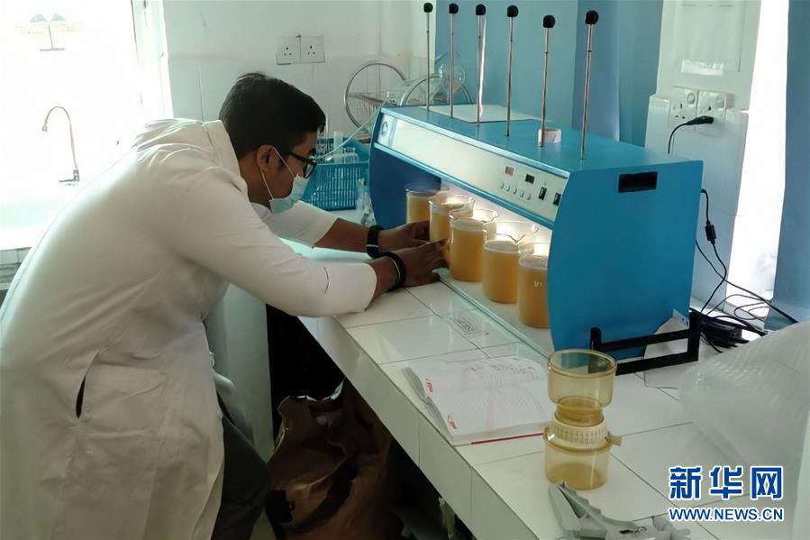 （國際·圖文互動）（5）通訊：疫情下斯裏蘭卡留學生接受科研“雲指導”