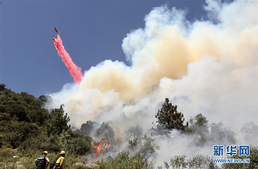 山火频频肆虐 美国加州：“为啥受伤的总是我”