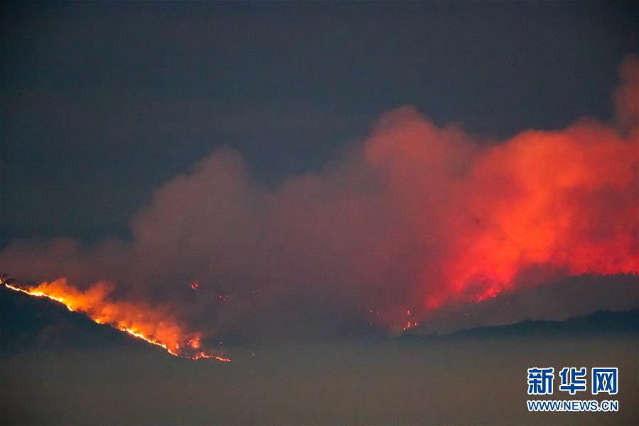 山火频频肆虐 美国加州：“为啥受伤的总是我”