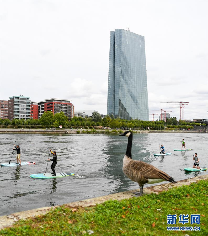 （新华视界）（6）美因河上划水度周末