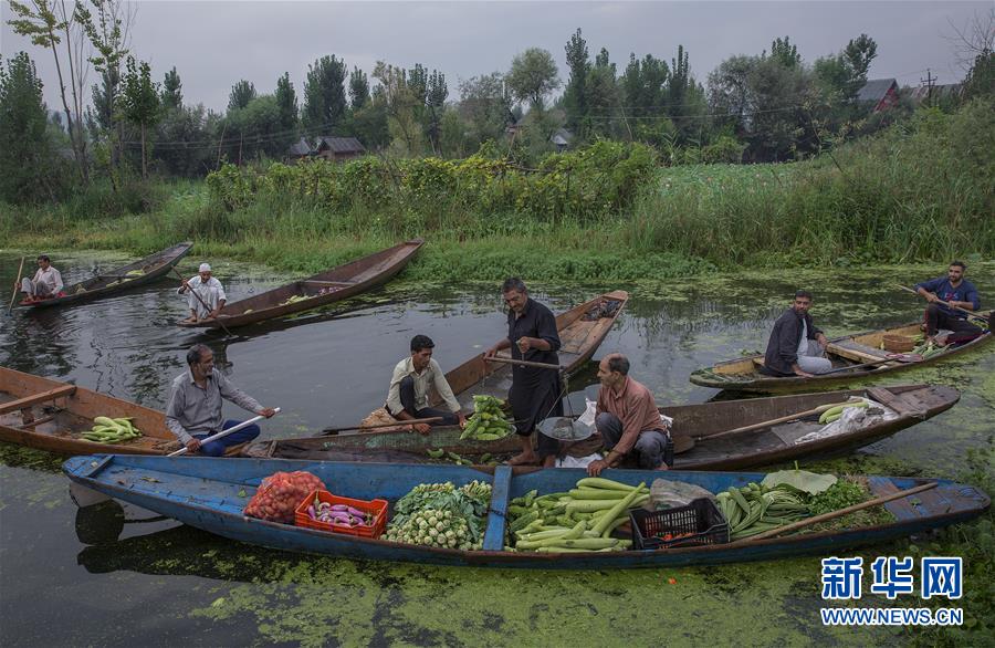 （国际）（1）斯利那加：水上蔬菜市场