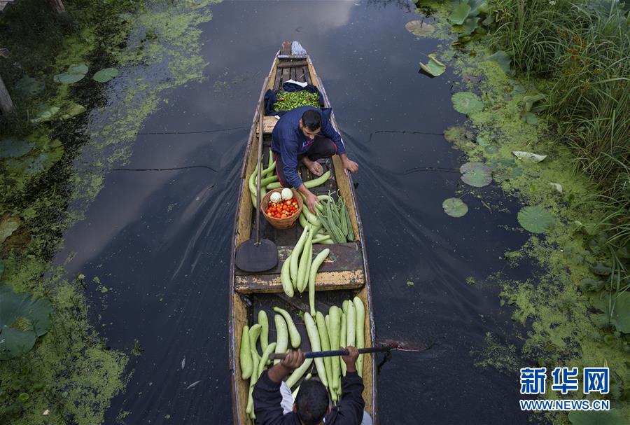 （国际）（2）斯利那加：水上蔬菜市场