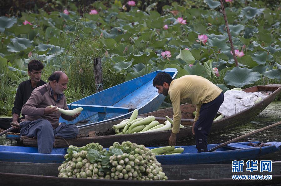 （国际）（3）斯利那加：水上蔬菜市场