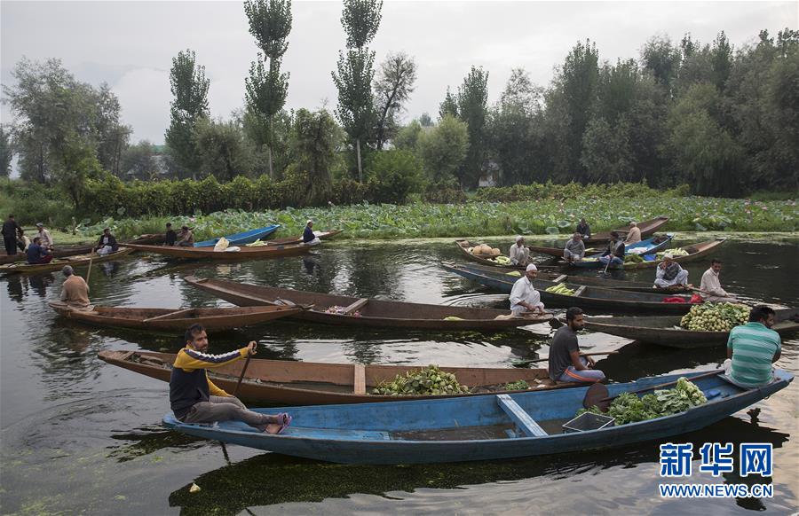 （国际）（5）斯利那加：水上蔬菜市场