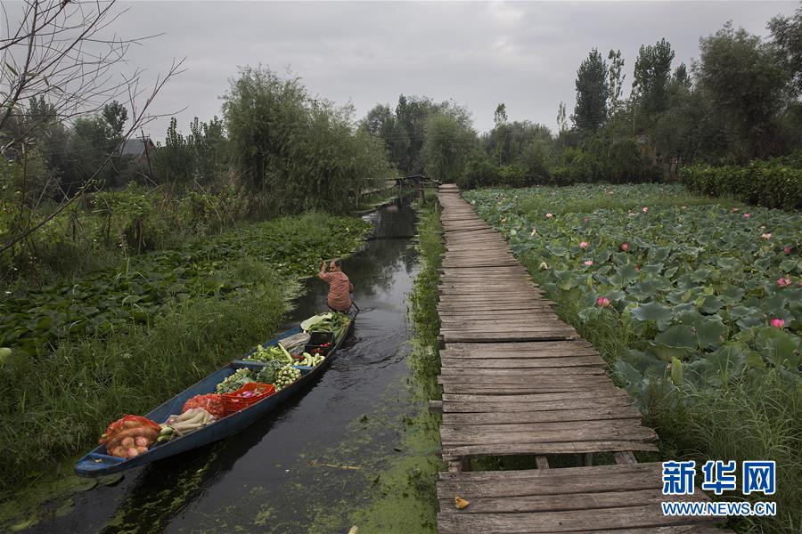 （国际）（6）斯利那加：水上蔬菜市场