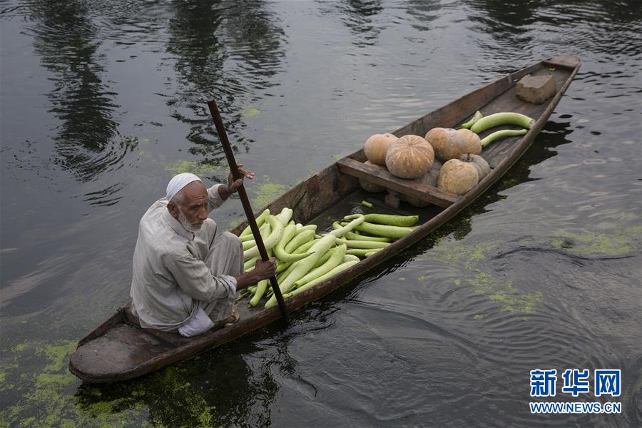 （国际）（7）斯利那加：水上蔬菜市场