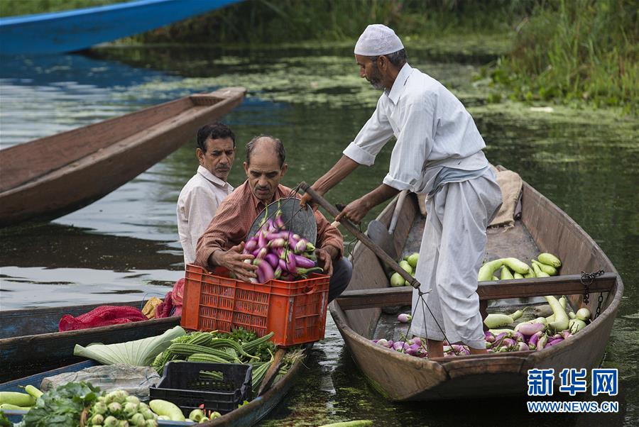 （国际）（8）斯利那加：水上蔬菜市场