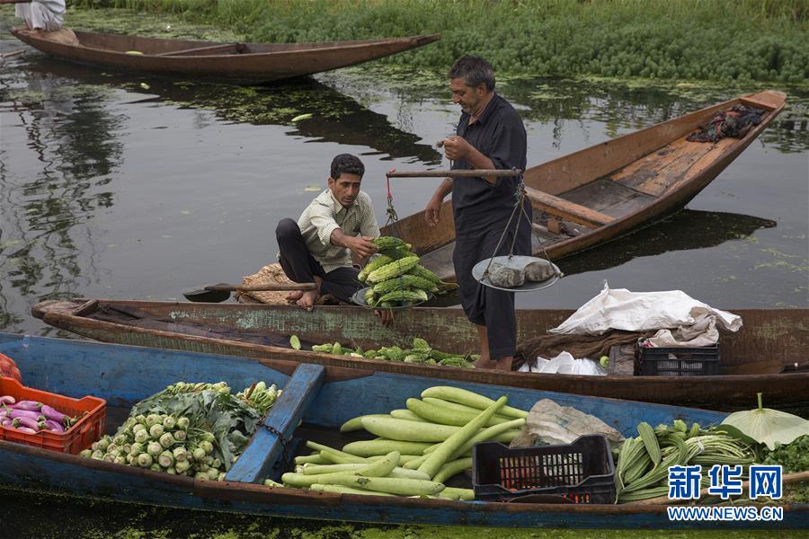 （国际）（9）斯利那加：水上蔬菜市场