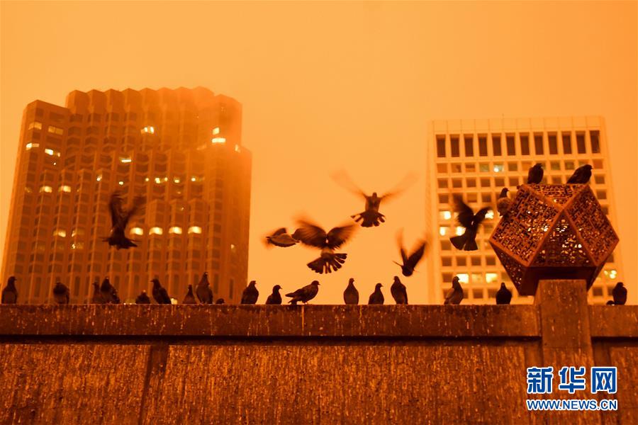 （国际）（3）美国旧金山：午&middot;夜