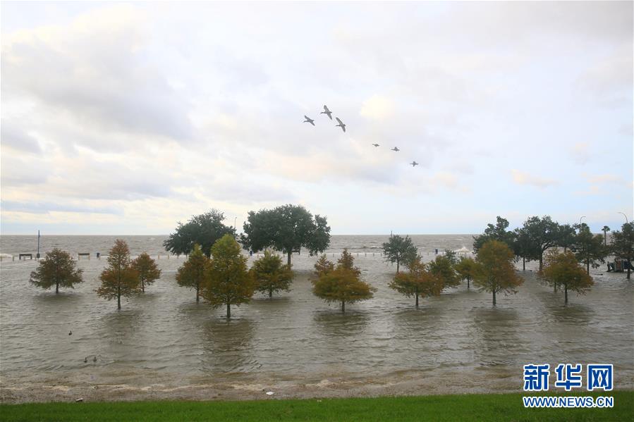 （国际）（4）飓风&ldquo;萨莉&rdquo;缓慢逼近美国墨西哥湾沿岸