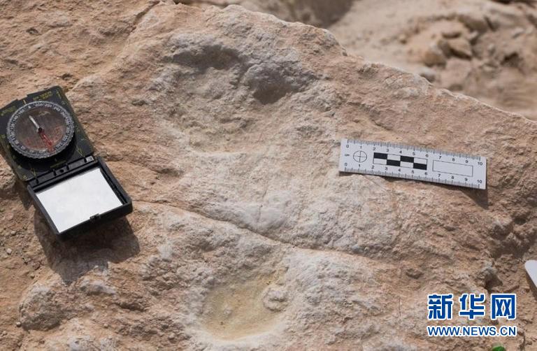 （國際·圖文互動）考古學家在沙特發現距今12萬多年前的人類腳印