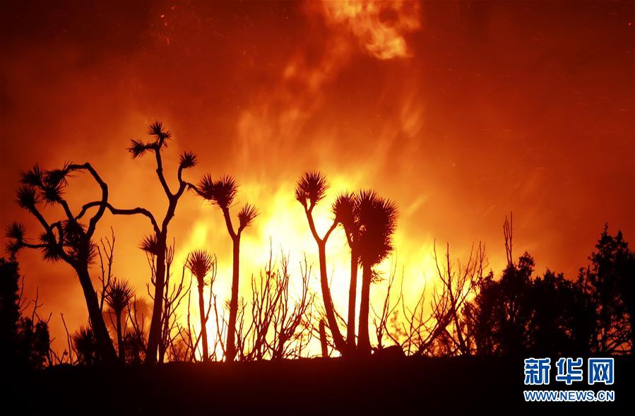 （国际）（2）“山猫”山火继续在美国洛杉矶县山区蔓延