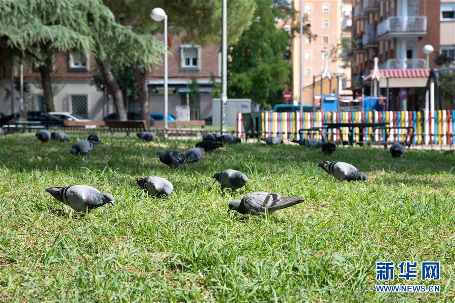 （国际疫情）（5）西班牙马德里：街区限行第一日