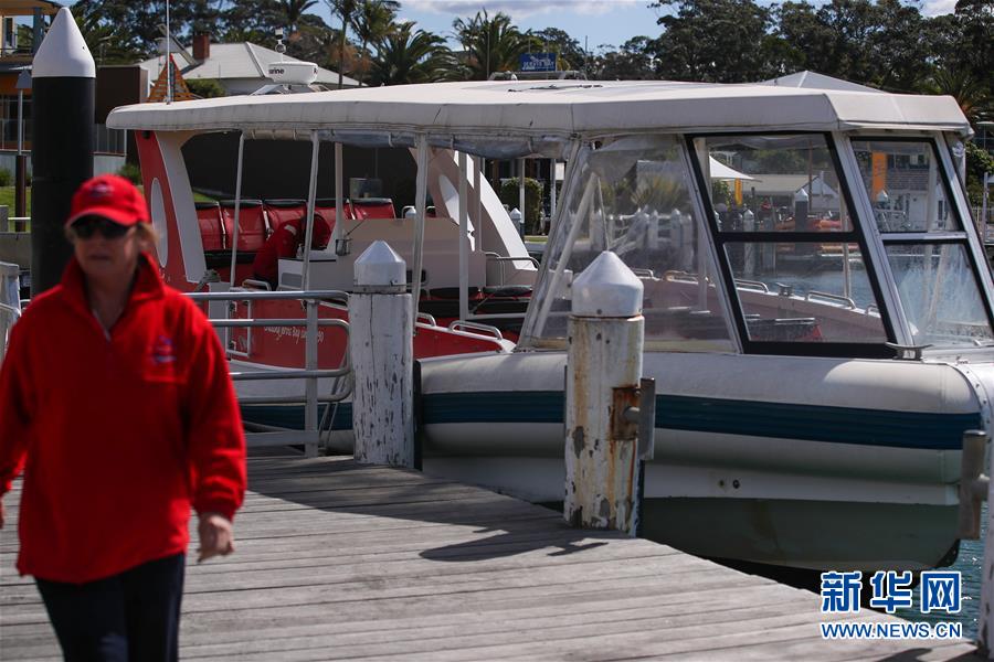 （国际疫情）（7）疫情影响澳大利亚观鲸小镇旅游业