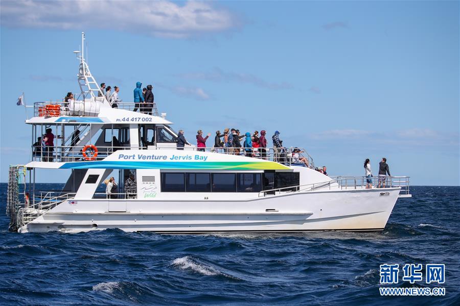 （国际疫情）（8）疫情影响澳大利亚观鲸小镇旅游业